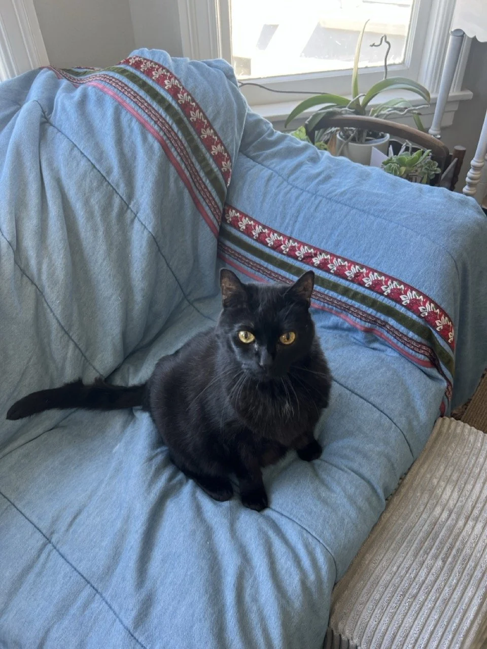 NELLIE
