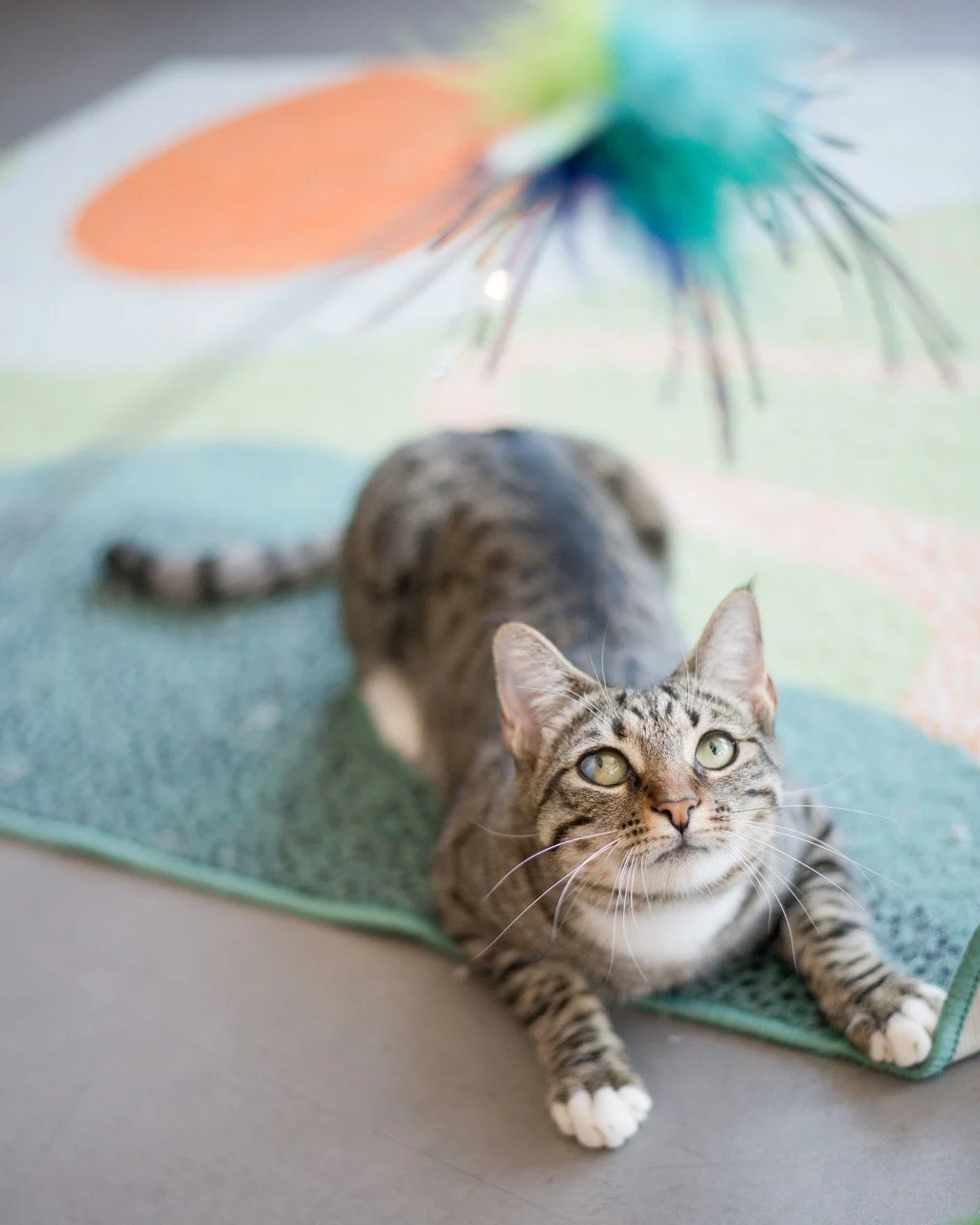 2024_06_Wayne_CZ1_DYeung_7391 Large.jpeg