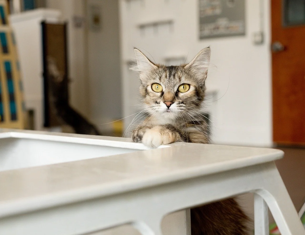 2025_06_Pandora_CZ1_DYeung_8559 Large.jpeg