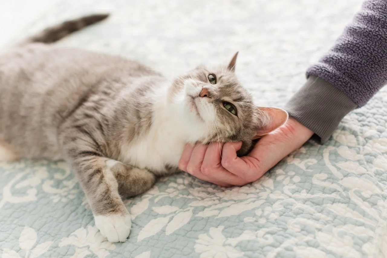 2022_1_PatienceFKAMolly_Foster_NicoleDial_45 (2) Large.jpeg