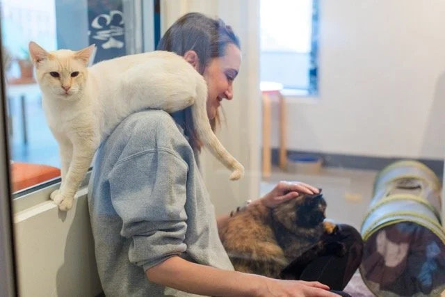 Three ways we want to thank you.