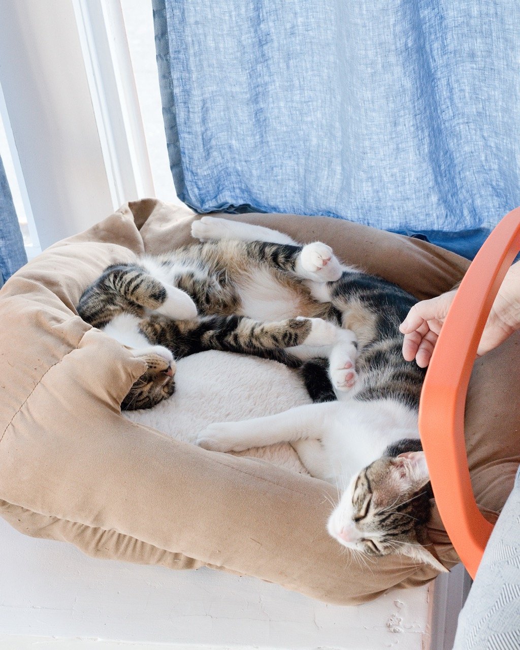 2024_10_Hank_Dale_Friend_CZ1_DYeung_2872 Large.jpeg