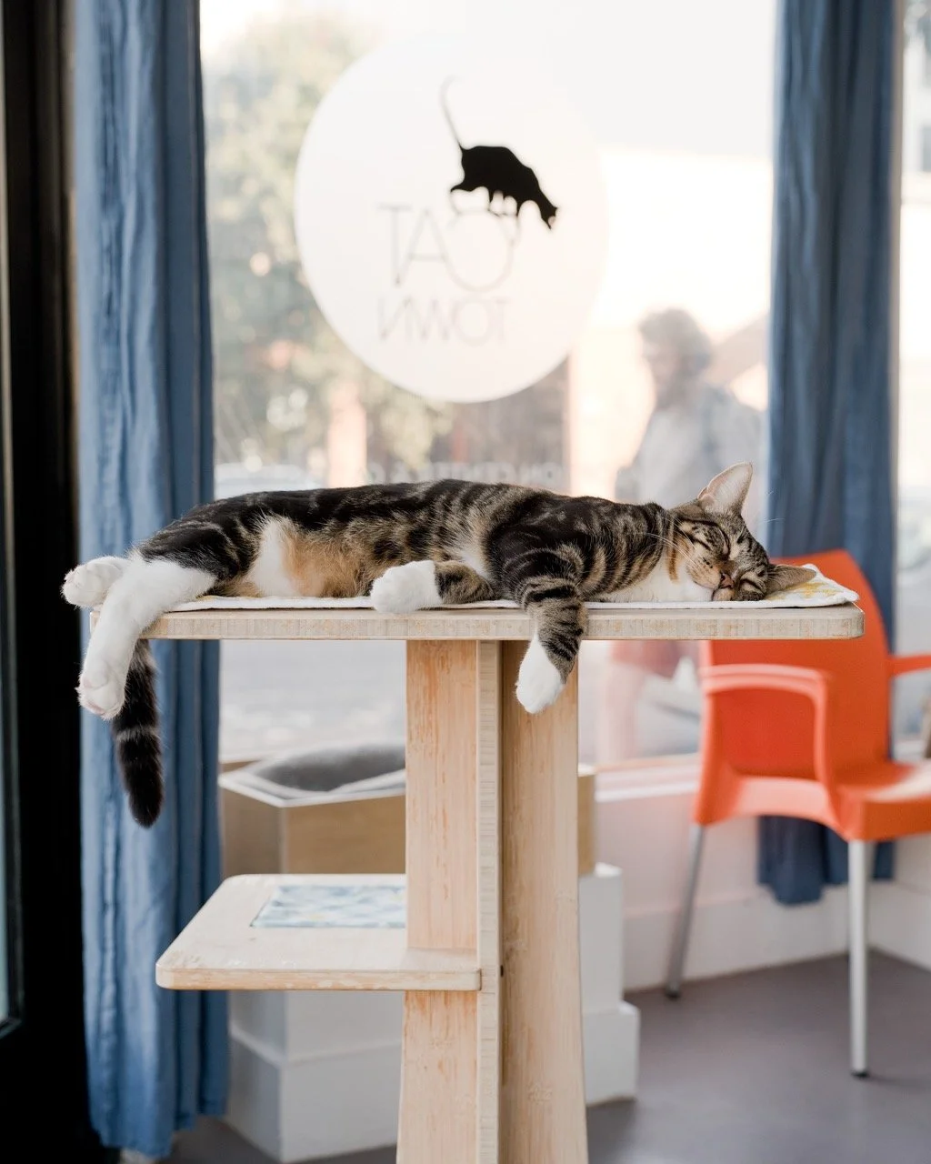 2024_10_Dale_CZ1_DYeung_3132 Large.jpeg