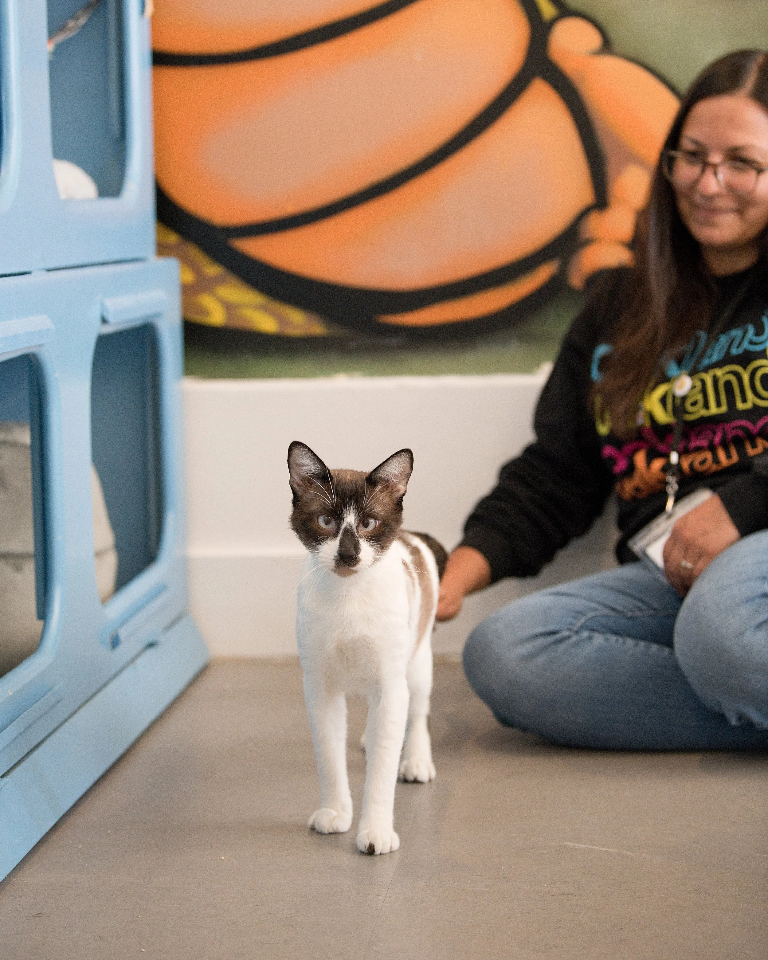 January Adoption Stories