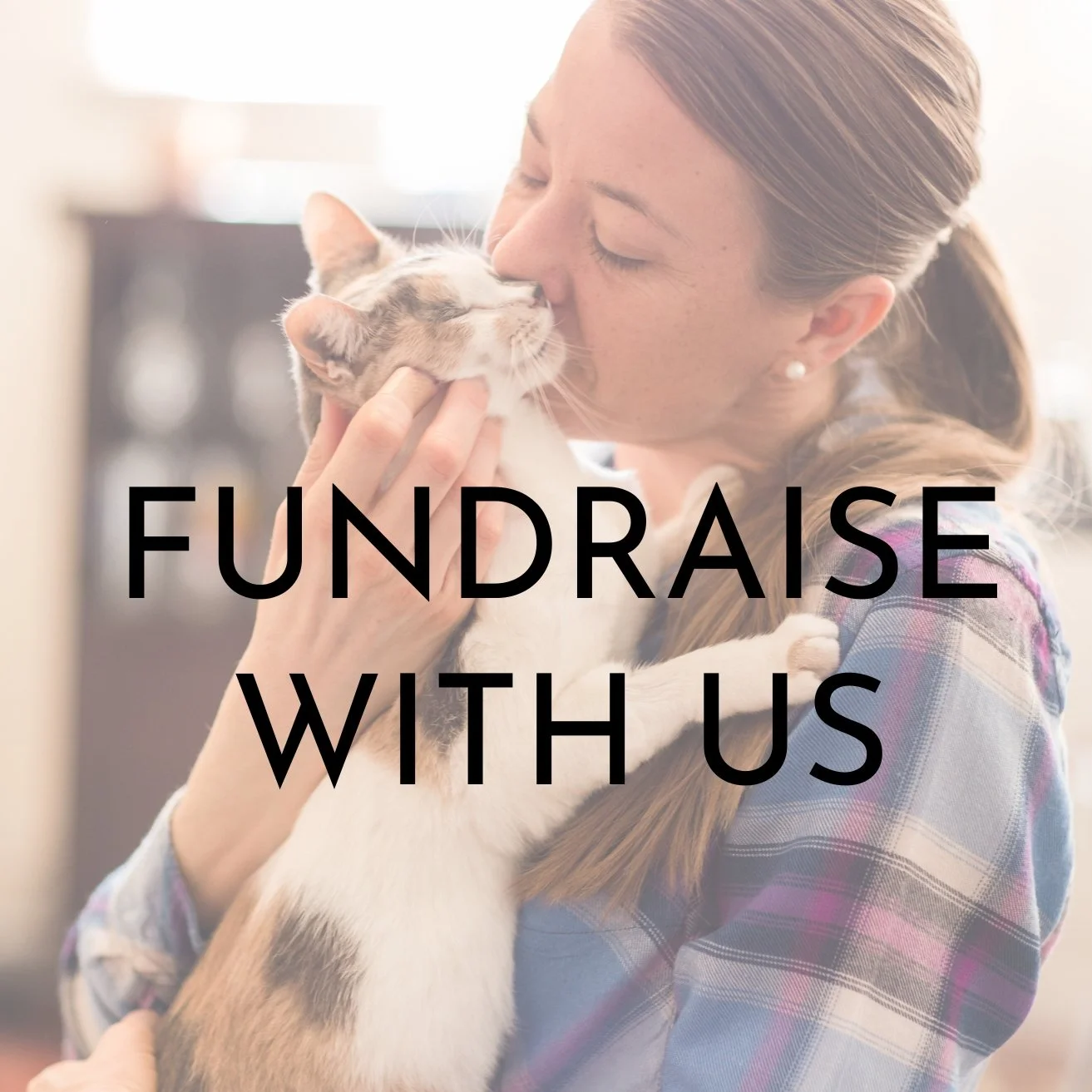 LINK IN BIO INSTAGRAM.jpg