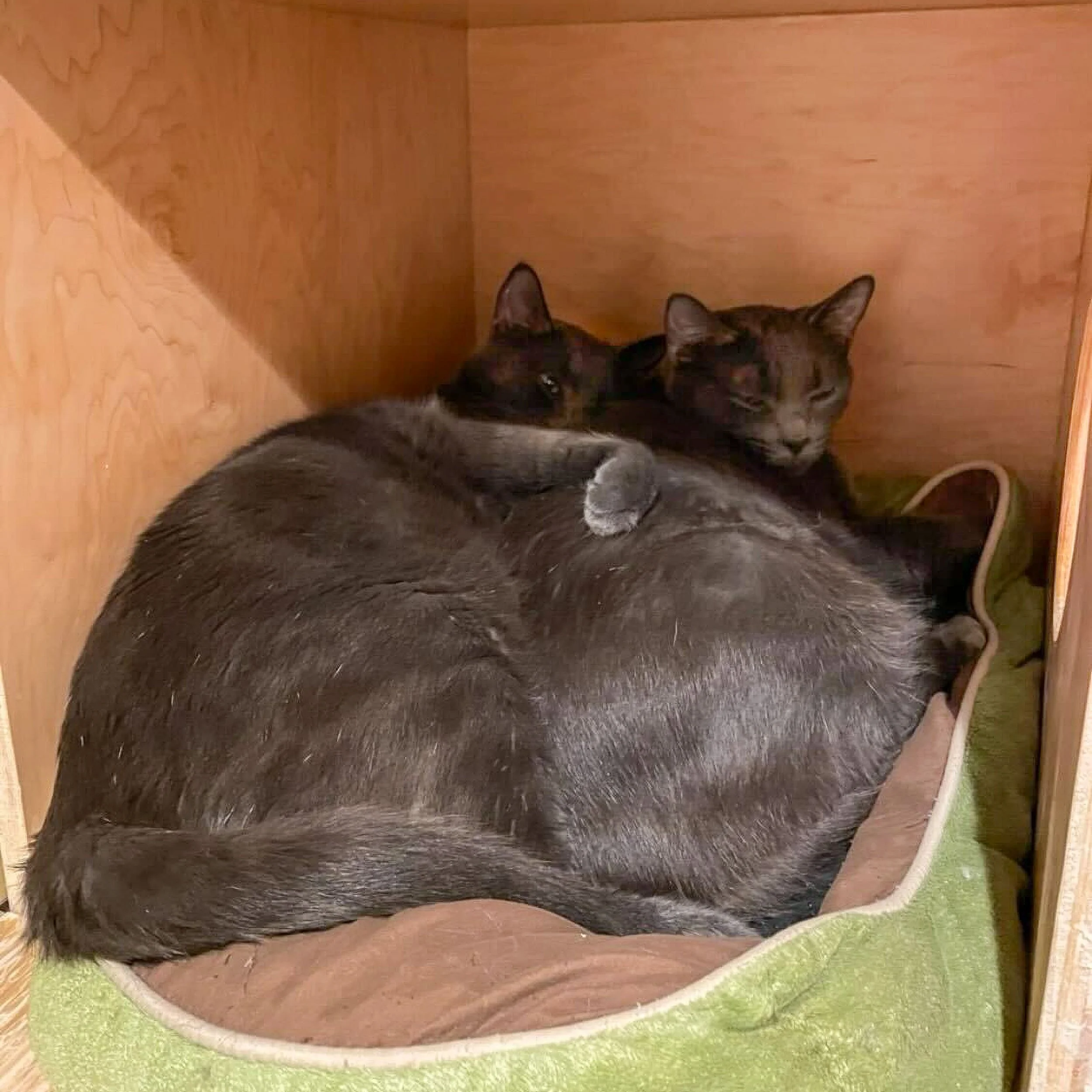 AQUAMARINE &amp; TOPAZ