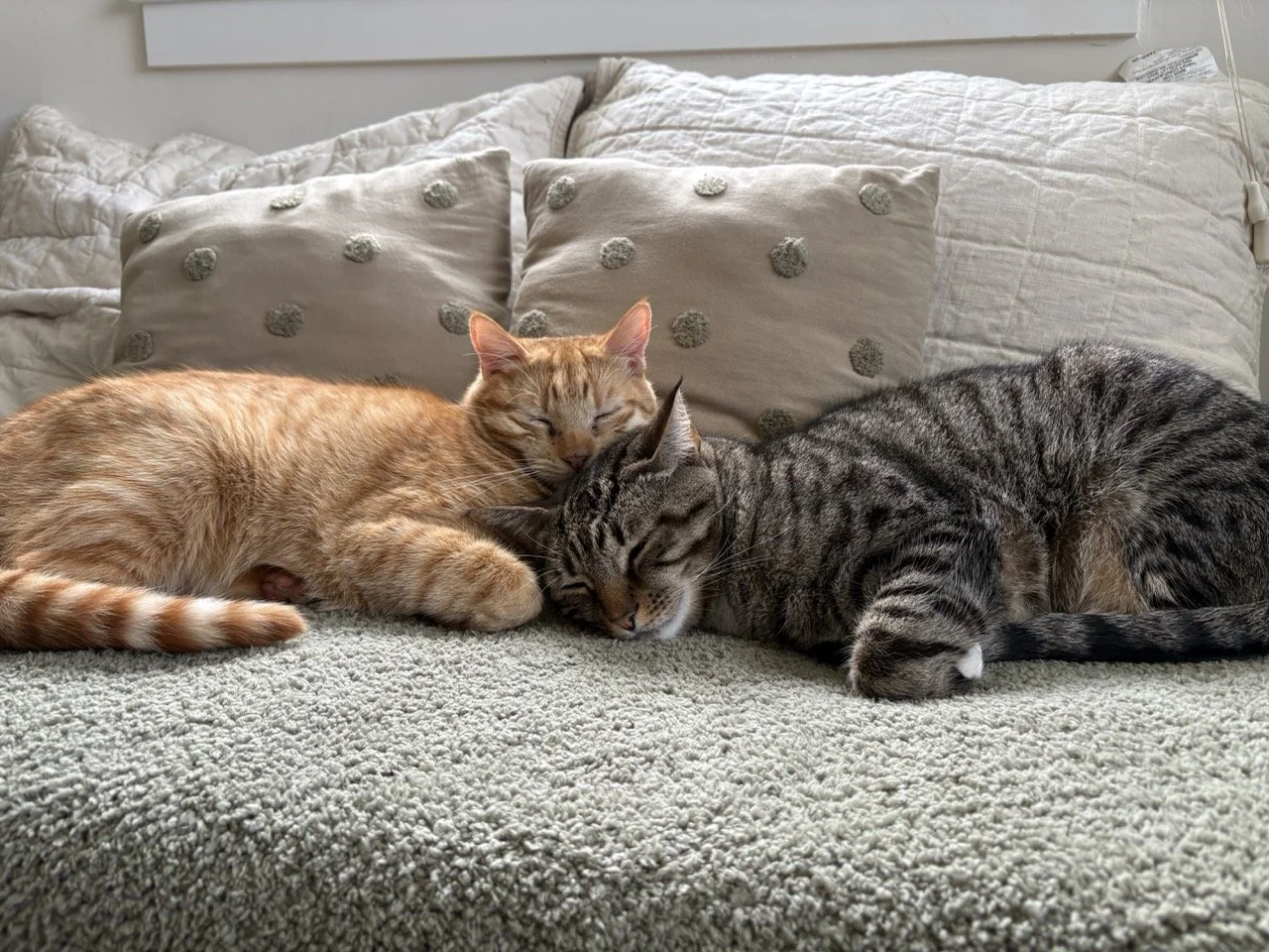 Wayne and Garth: Overcoming Obstacles Together – Wayne and Garth: Overcoming Obstacles Together