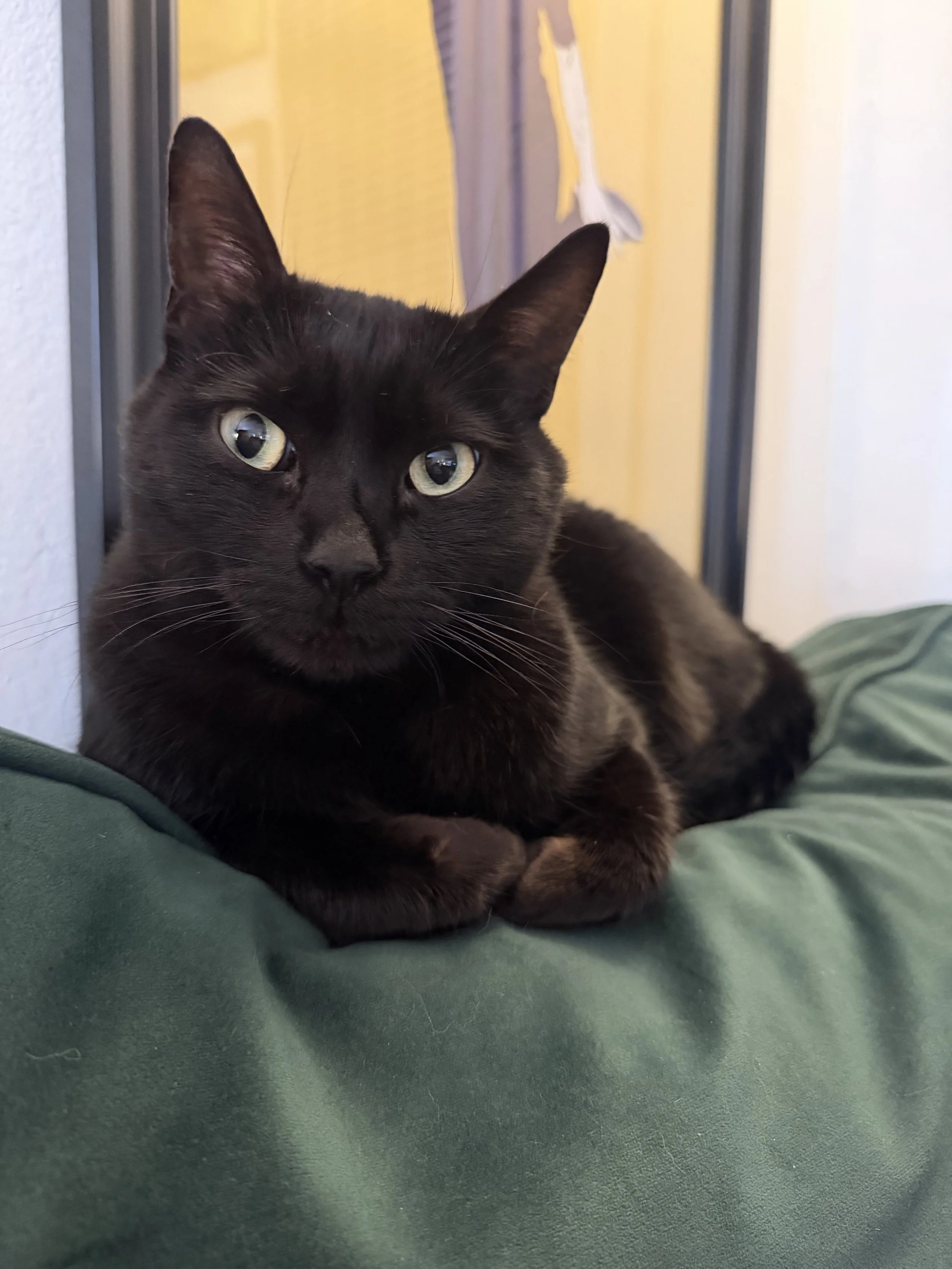 LUNA