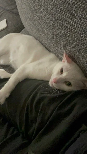YUKI