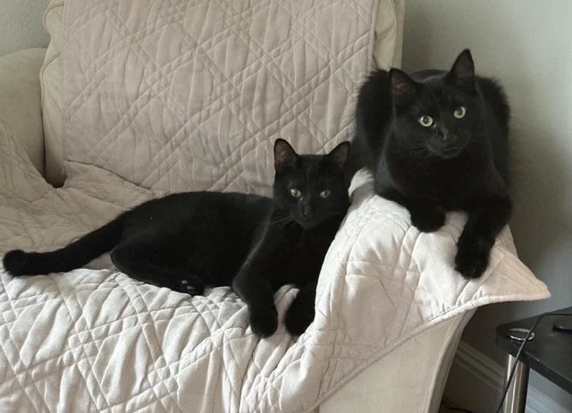 ONYX &amp; OBSIDIAN