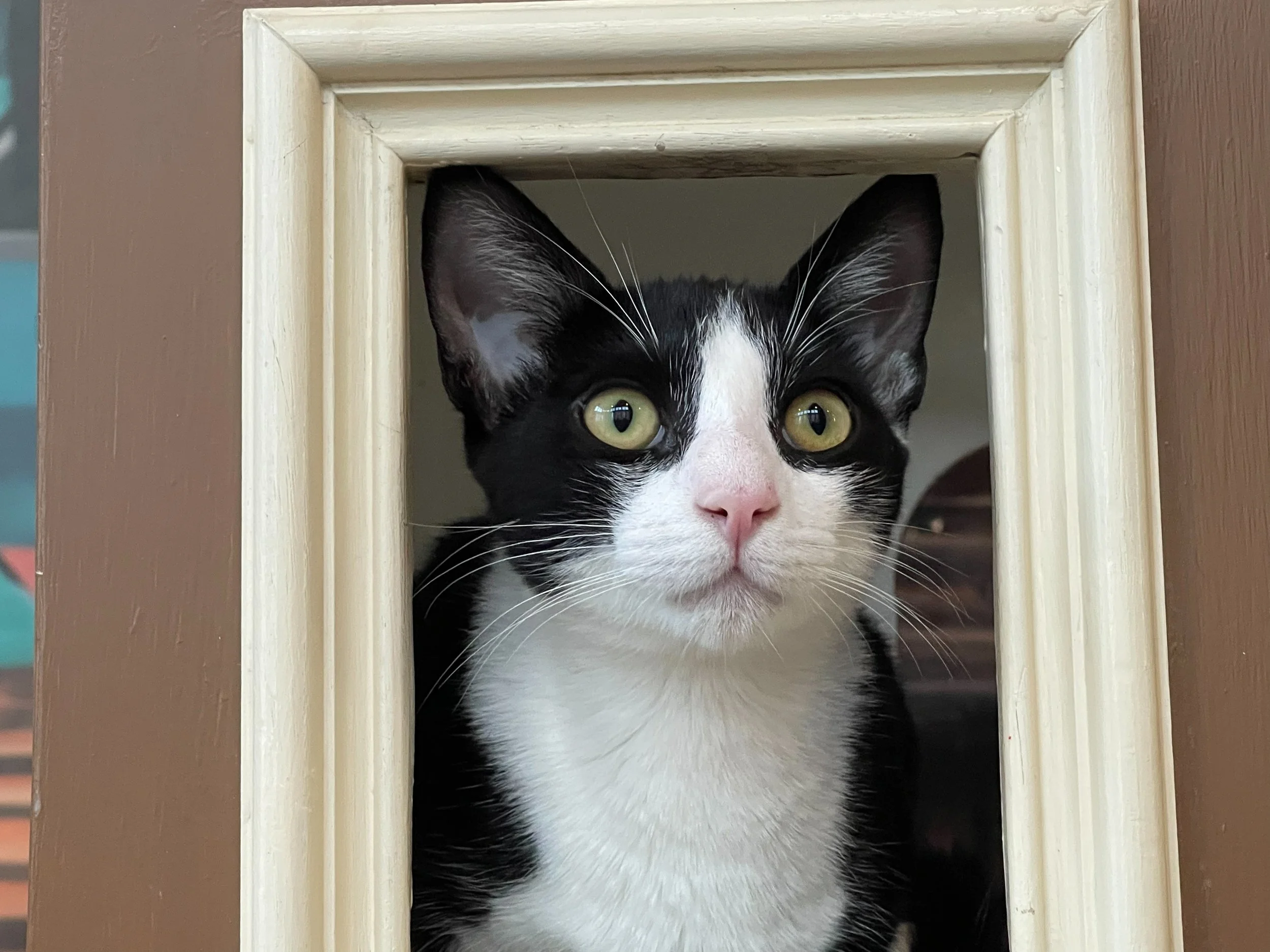CHICO