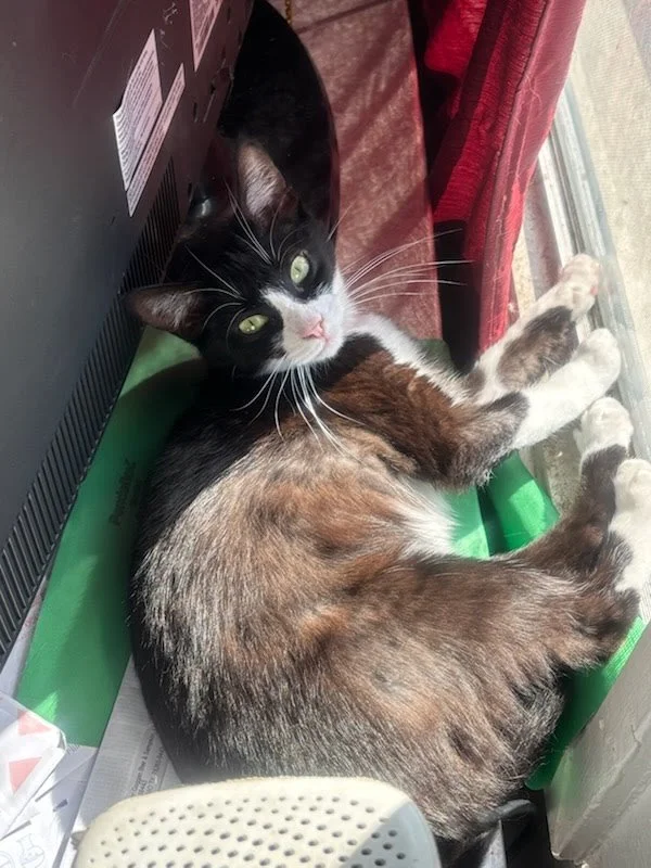 FRANCESCA