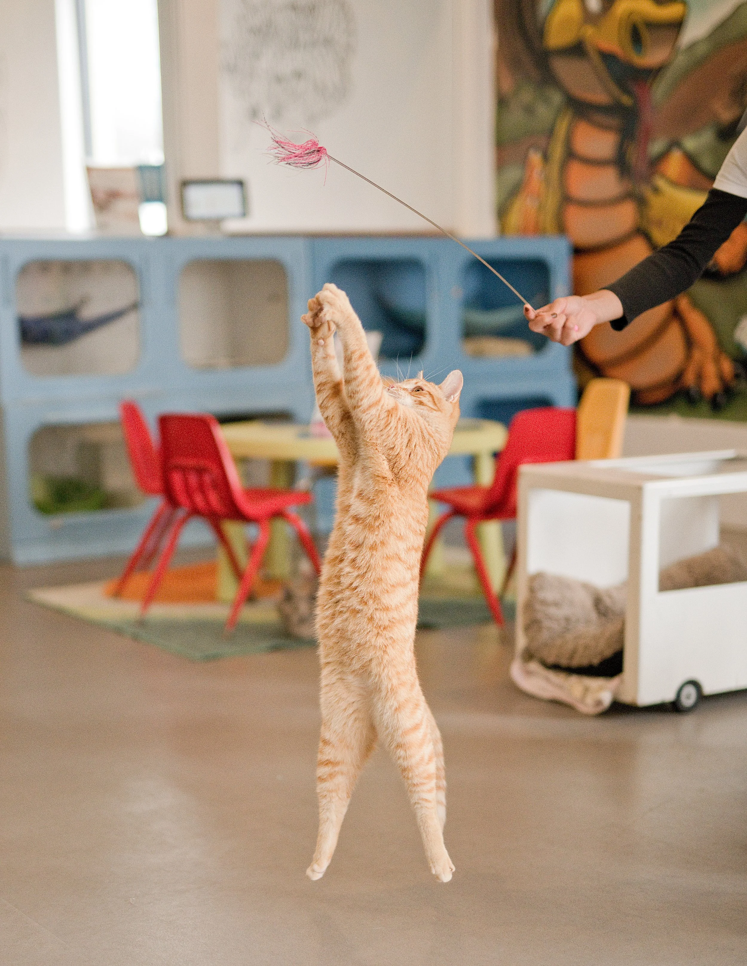 2025_04_Curry_CZ1_DYeung_4967 (1).jpg