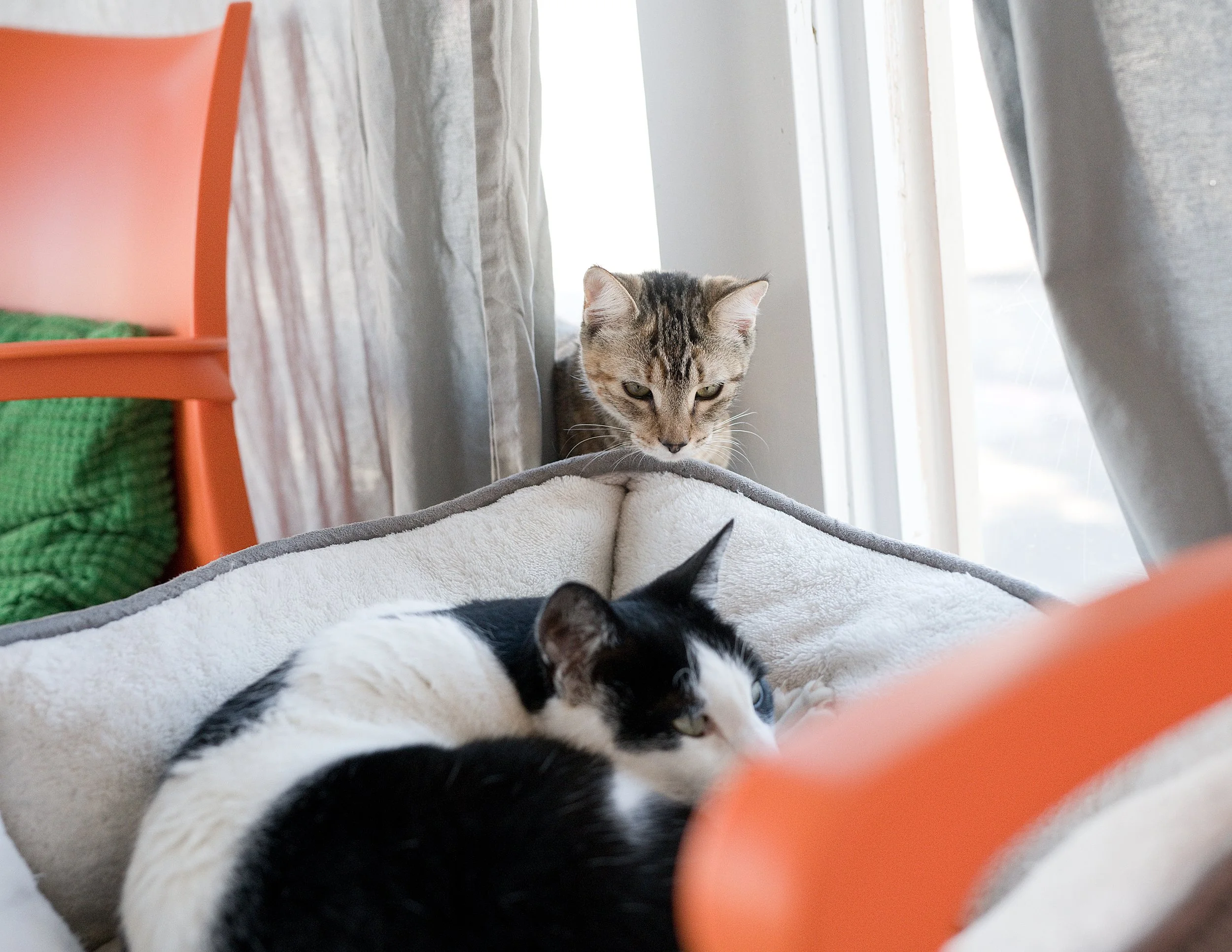 2025_10_Jennipurr_Bianca_CZ1_DYeung_2945 (1).jpg