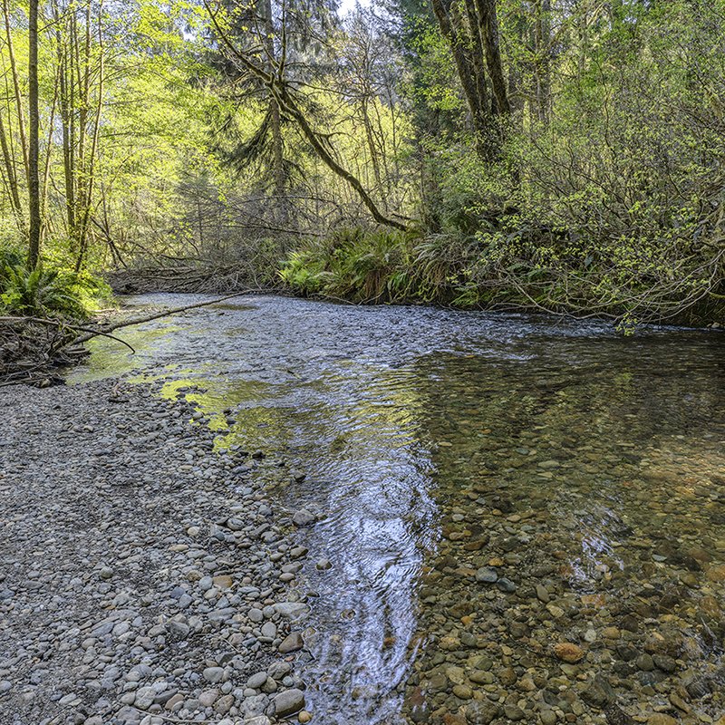 4-22-25_Agate beach-Prai_0030 copy 2.jpg