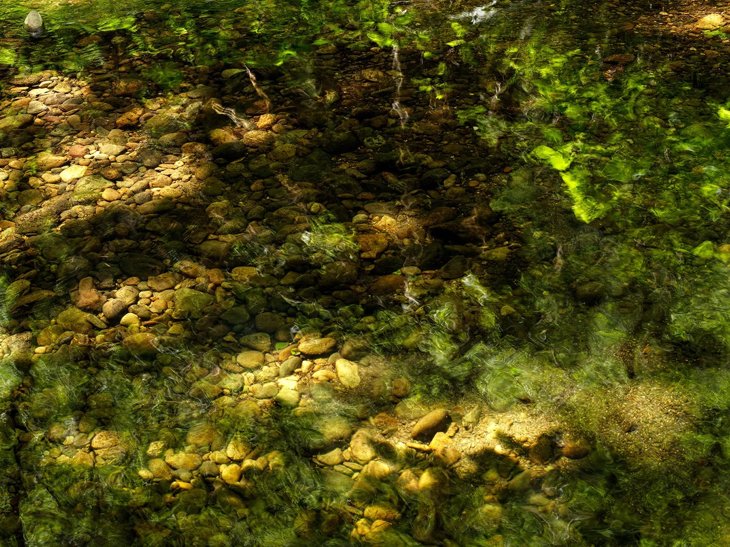Waters of March 14 52026  B_4237_prv.jpg