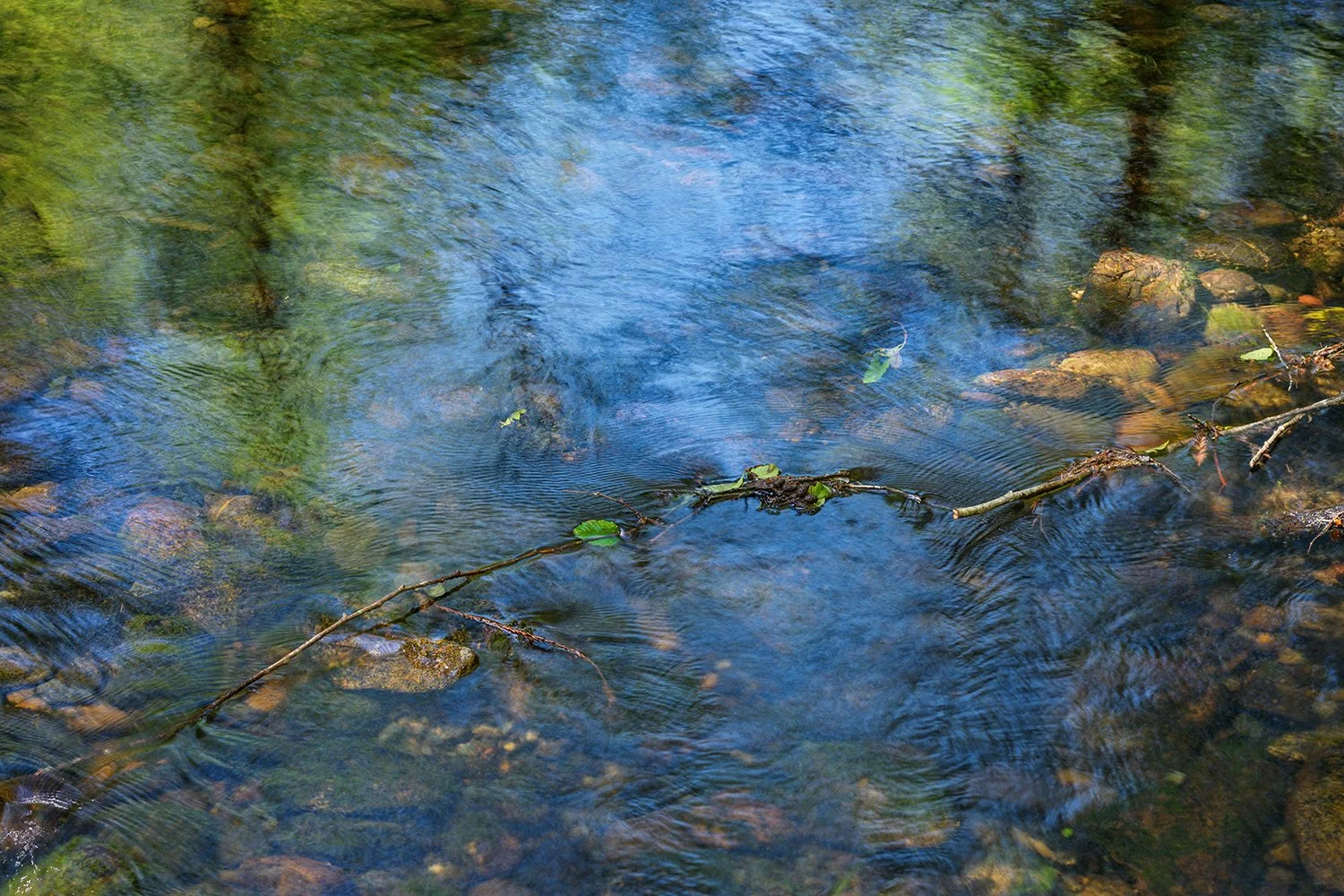 Waters of March 13 51726 _B_4151_prv.jpg