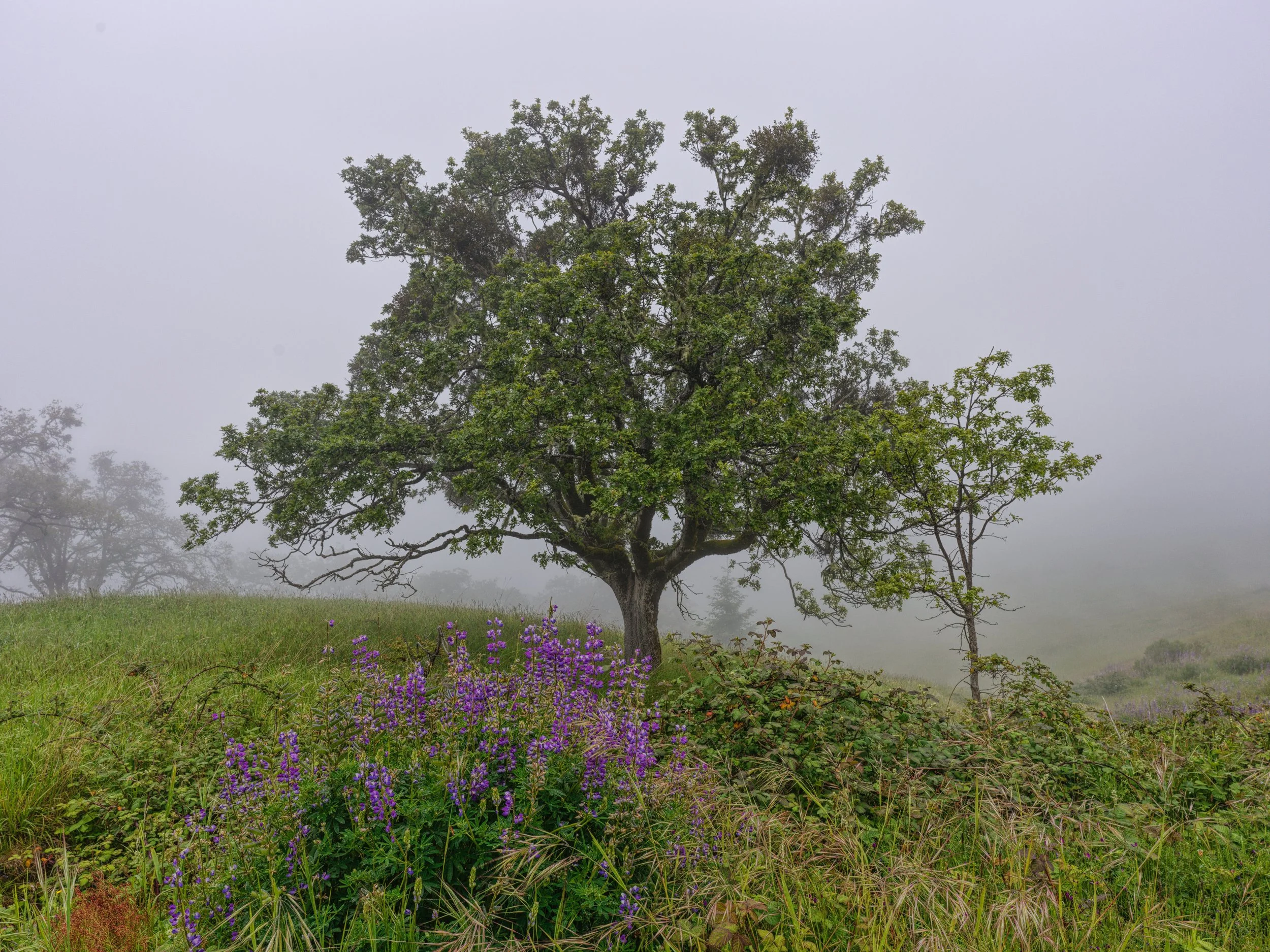 5626 Bald Hill Rd_B_3586.jpg