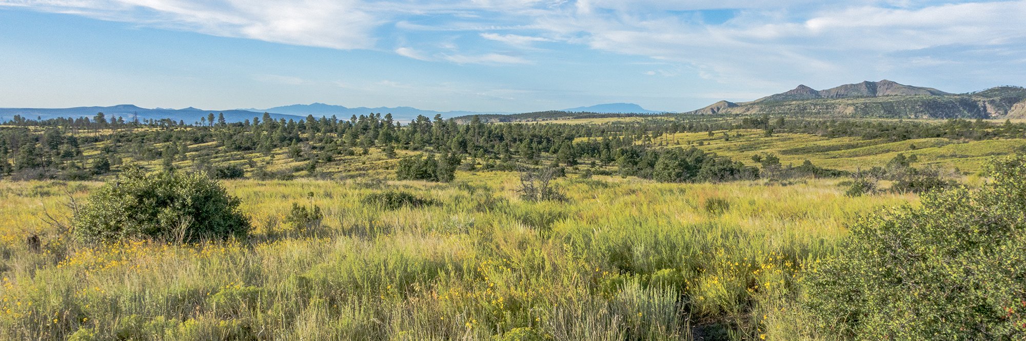 08.07.15.1 Burnt Mesa