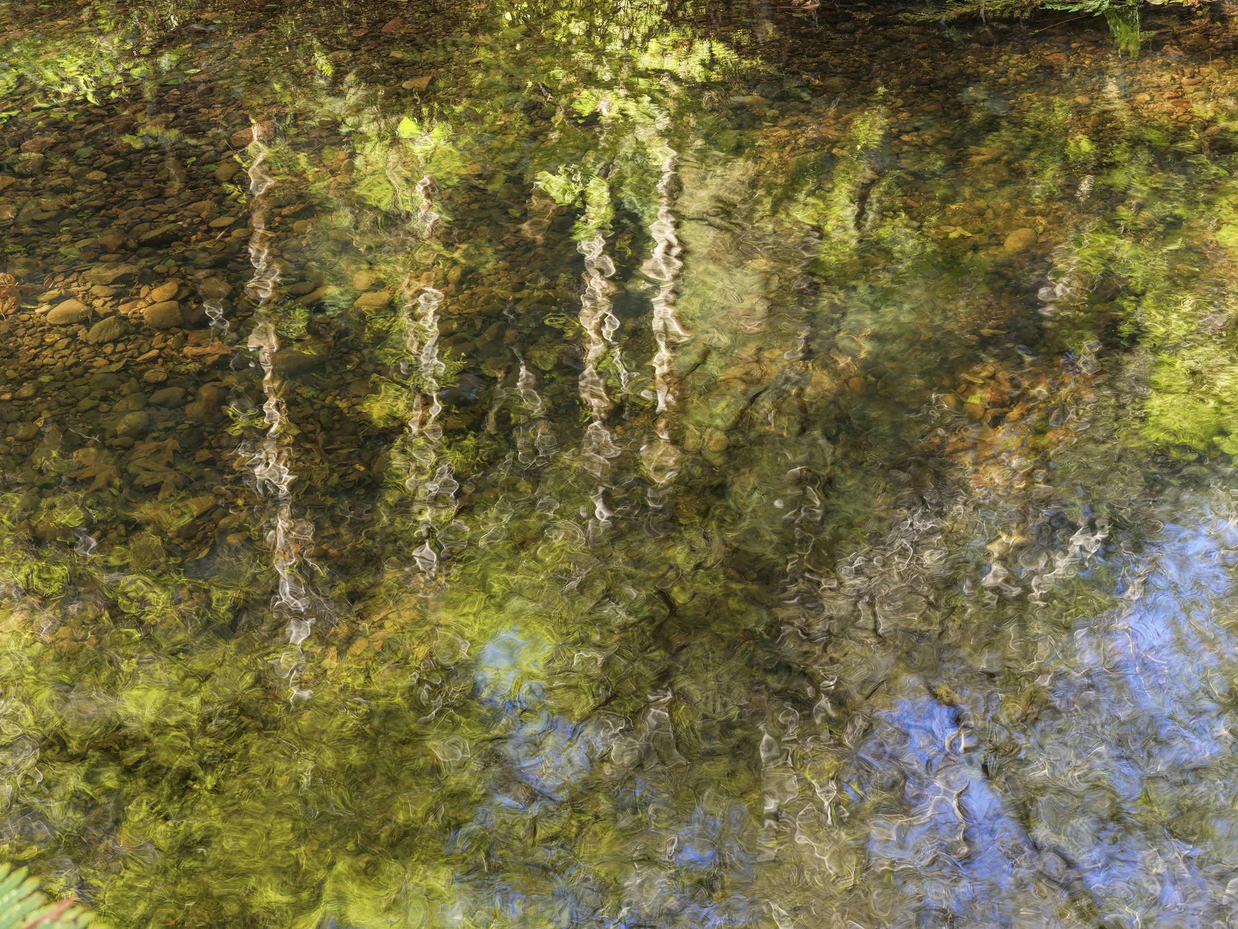 Waters of March 1.  102825.  B2862