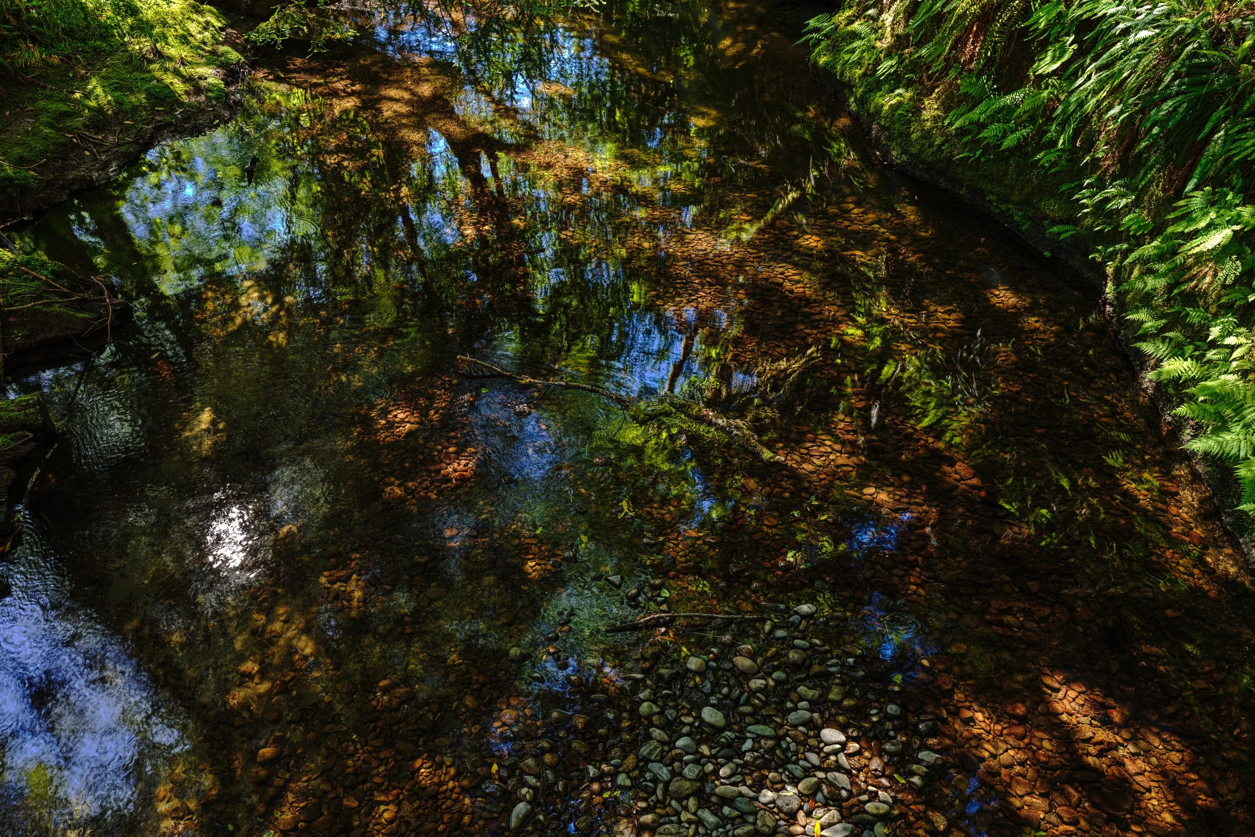 5.10.26 P Creek B_3786.jpg