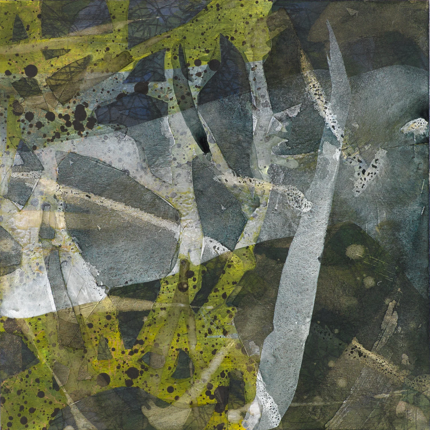 WOODLOT 1 acrylic, graphite and mylar on wood 20” x 20” 2015 SOLD