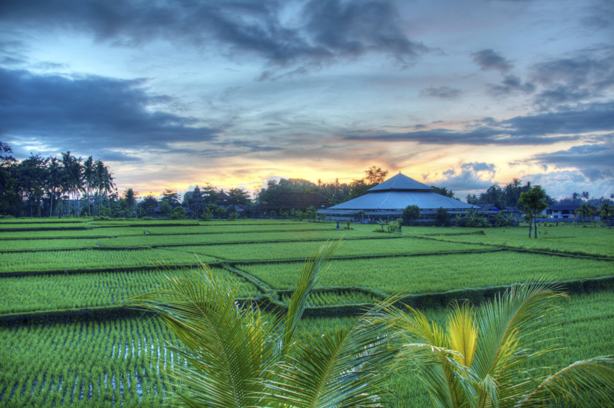 Bali Bliss Yoga Retreat