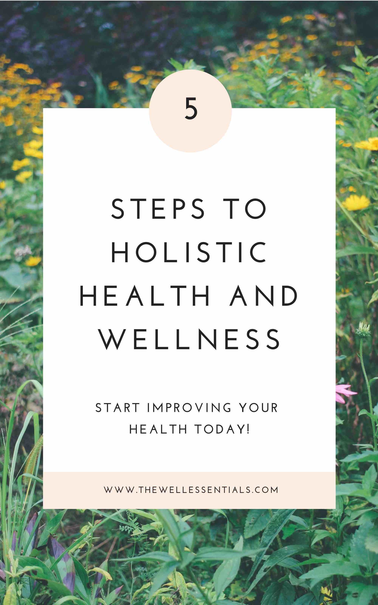 Essay On Media Essay On Dengue also Essay On Benefits Of Exercise The Aspects Of Holistic Health And Why They Are So Important Coming To America Essay
