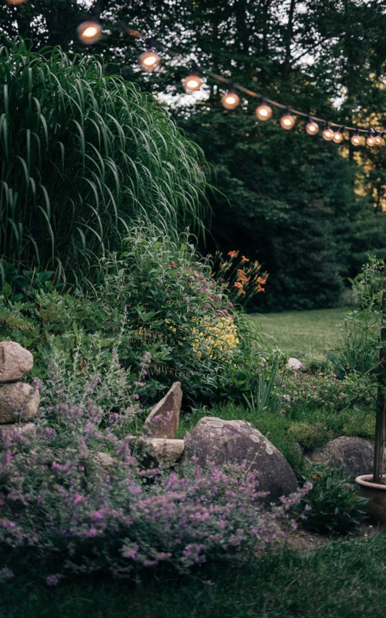 8 Beautiful Plants To Help Repel Mosquitoes In Your Yard
