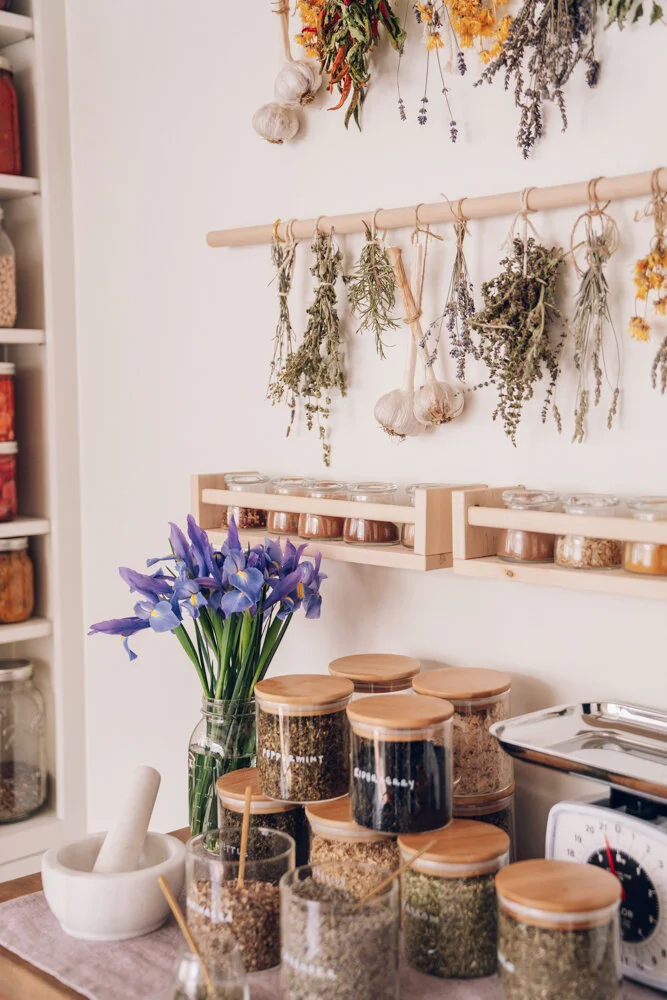 10 Must Have Herbs For Your Home Herbal Apothecary