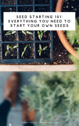 Seed Starting 101 Everything You Need To Start Your Own Seeds