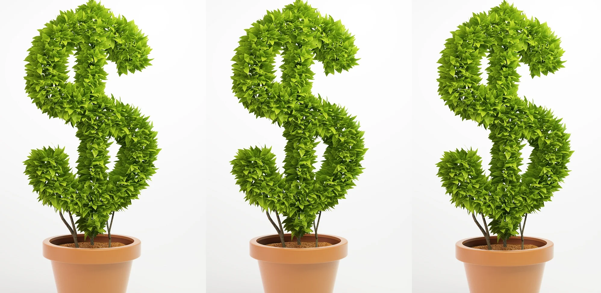 Accounting Banner 3.jpg