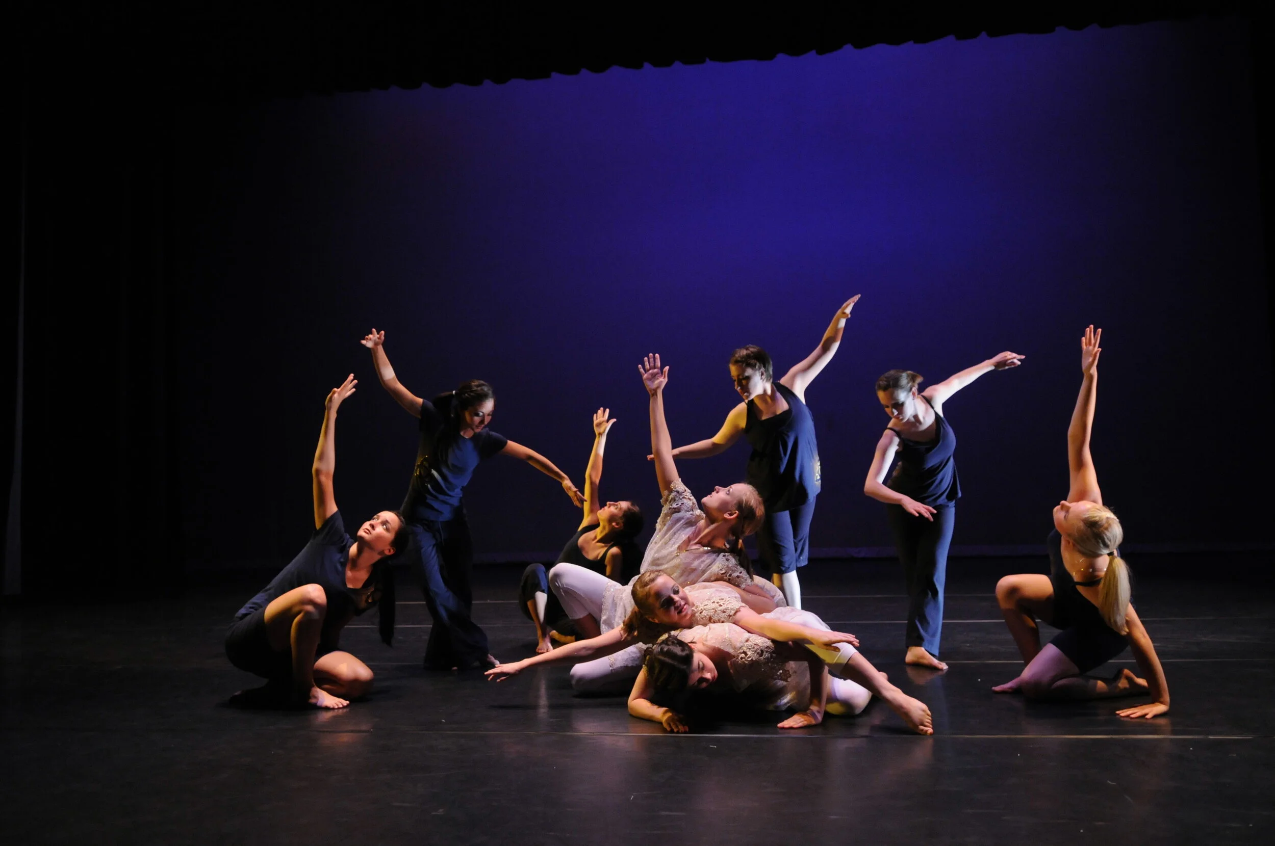 Various Studio 115 Dance Pieces from The USM School of Performing and Visual Arts Dance Program