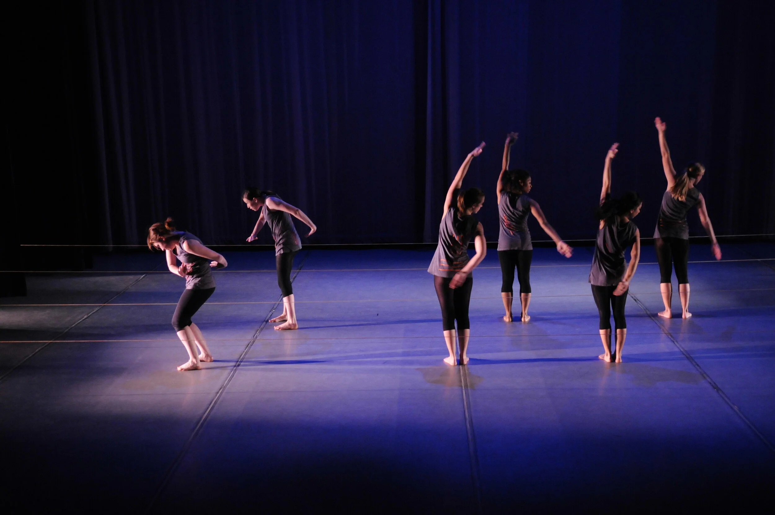 Various Studio 115 Dance Pieces from The USM School of Performing and Visual Arts Dance Program