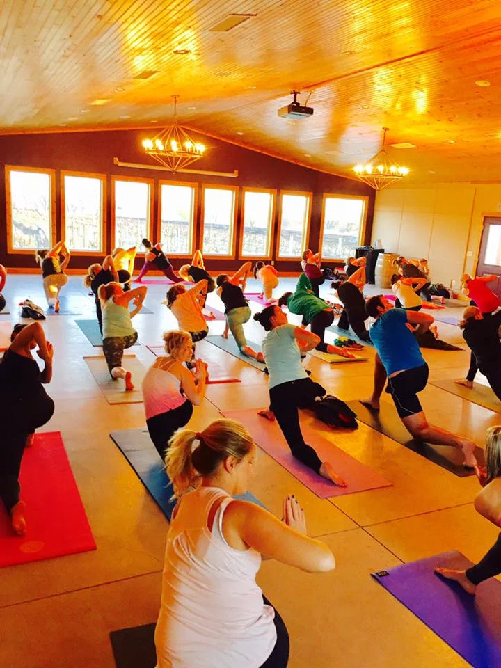 Yoga at Gracehill Winery