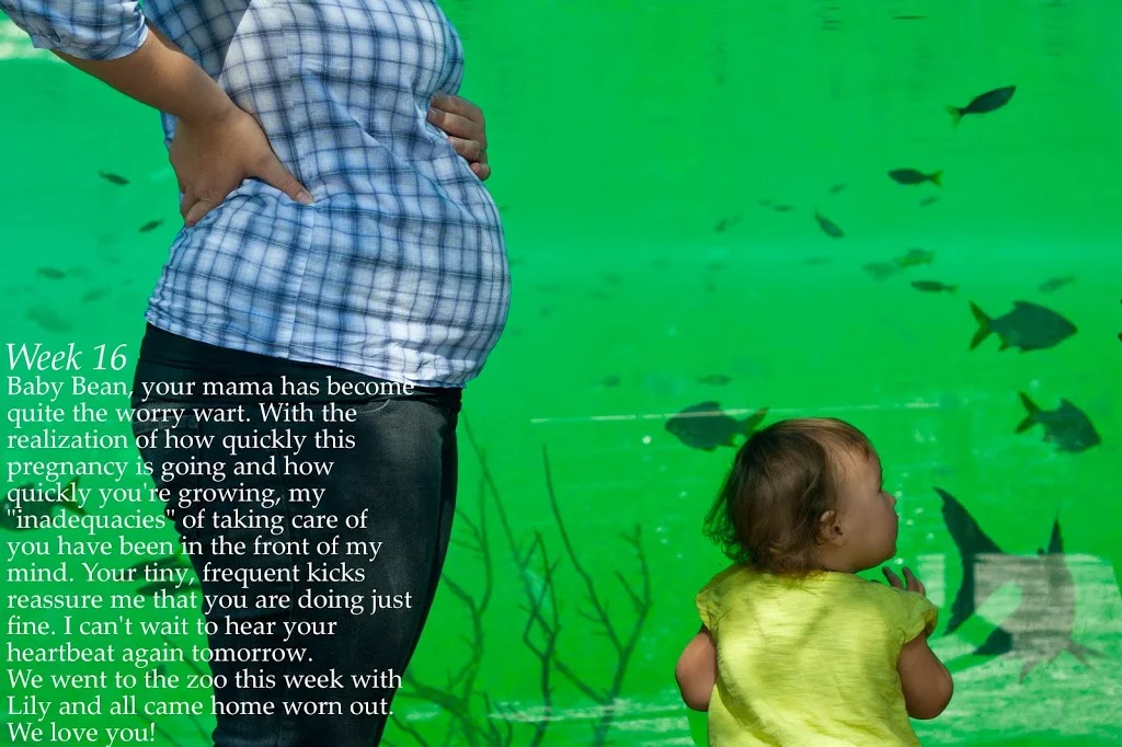 Nothing to fear but Fear itself.