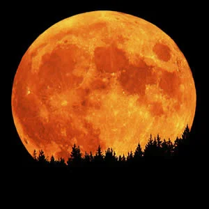Super Moon