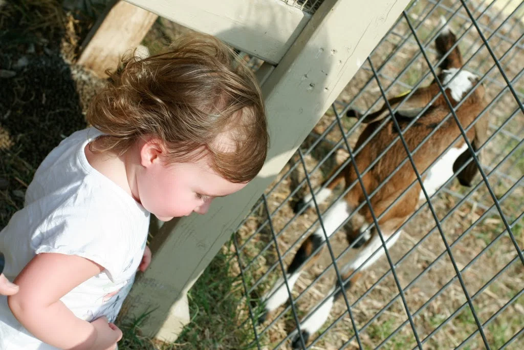 Easter Weekend In Photos