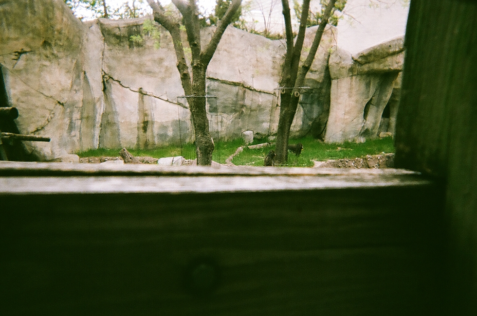 Mae Burke Motherhood Photographer Fort Worth Trip Film and Digital Images_0046.jpg