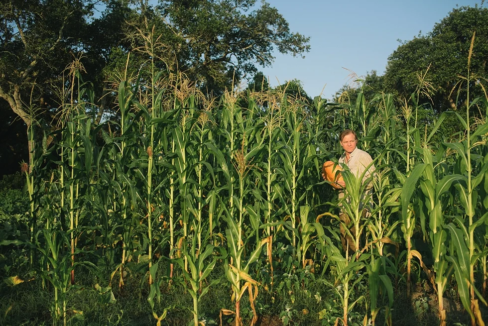Mae Burke Motherhood Photographer Four String Farm June_0009.jpg