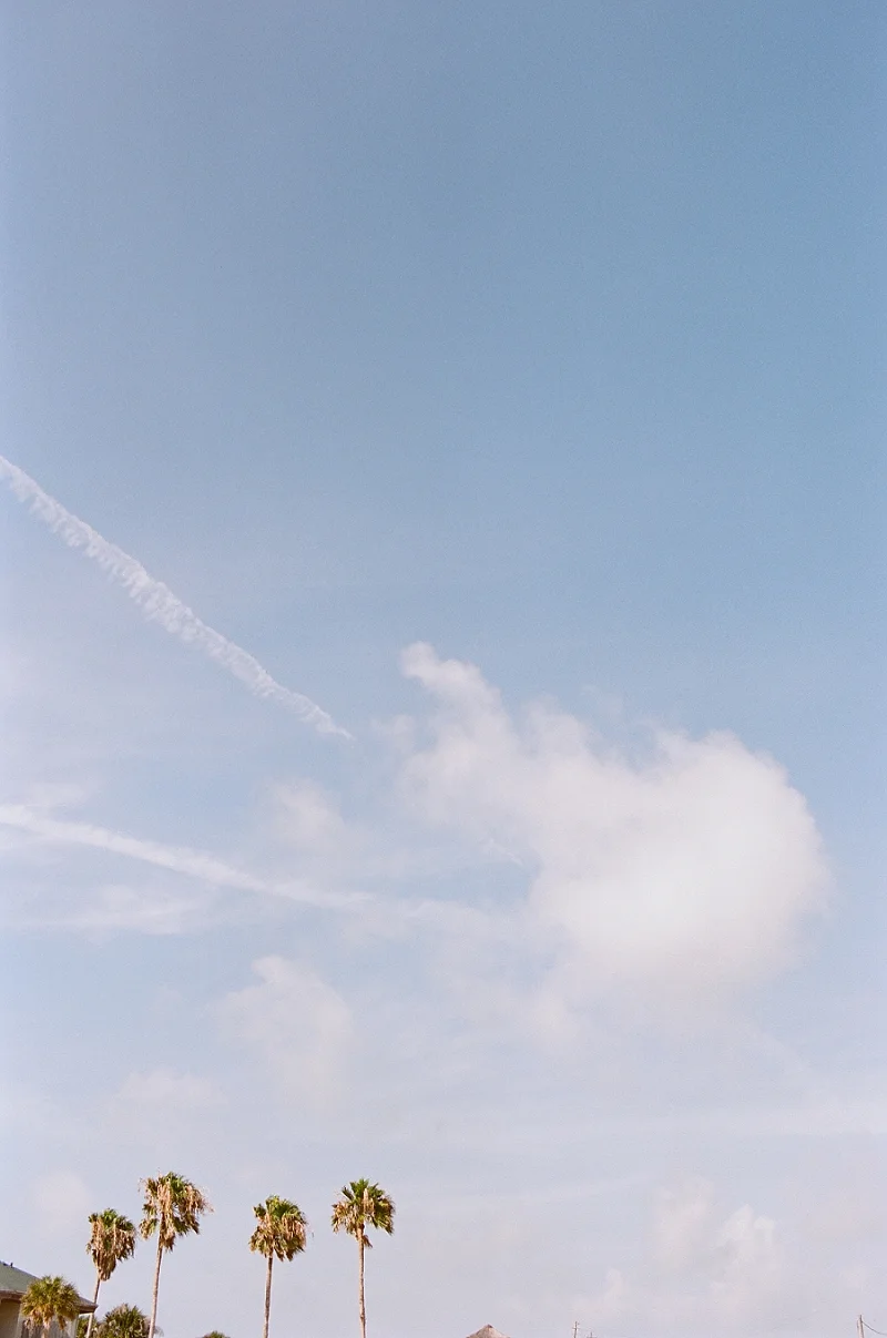  FIlm image of palm trees and sky by award winning Maternity, Baby, and Family Photographer, Mae Burke- Photographing families in and visiting Rockport, Port Aransas, Corpus Christi, Austin, Houston and Dallas/Fort Worth, Texas. 