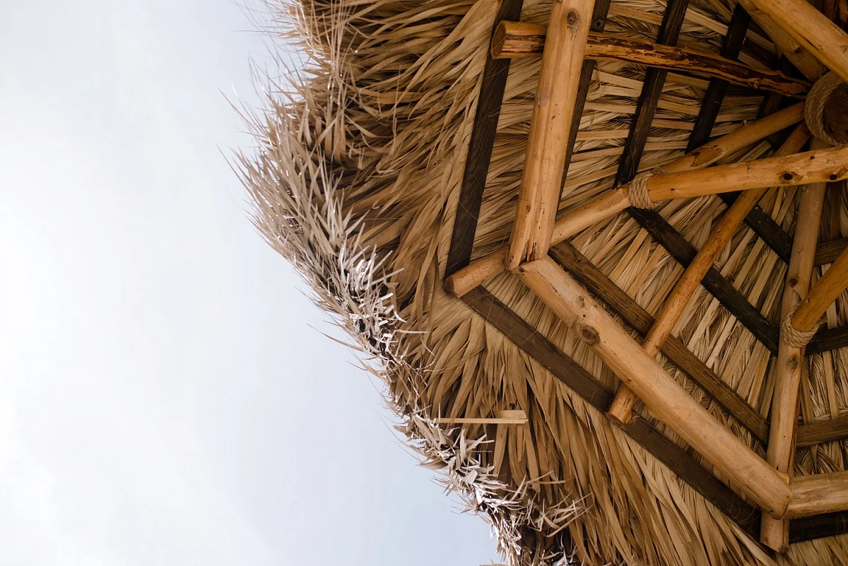 Mae Burke 365 2017-63.JPG