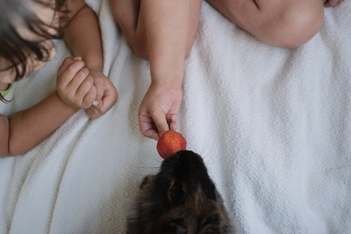 Mae Burke 365 2017-90.JPG