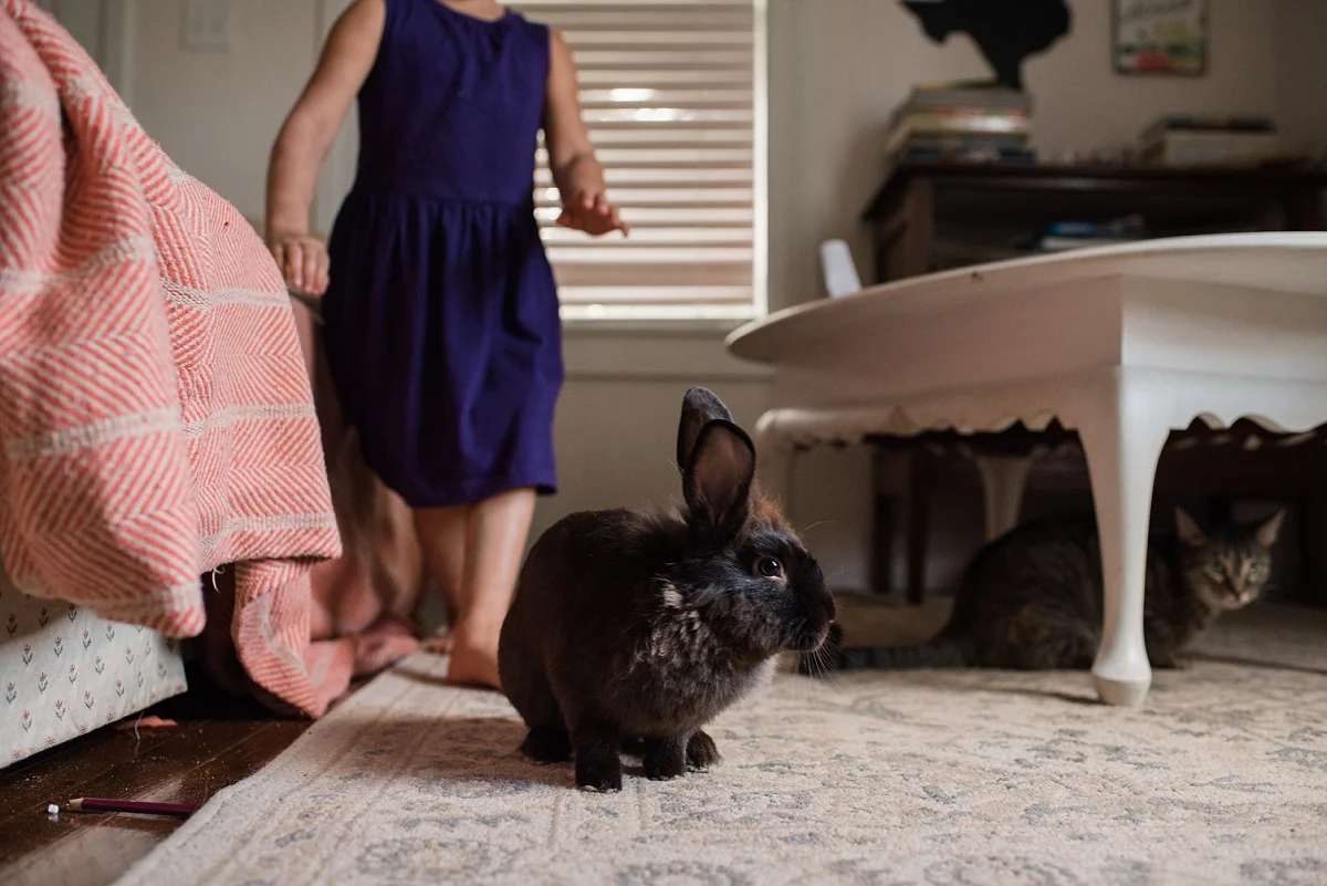 Mae Burke 365 2017-96.JPG