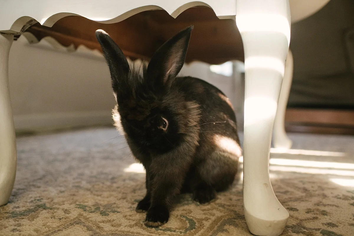 Mae Burke 365 2017-104.JPG