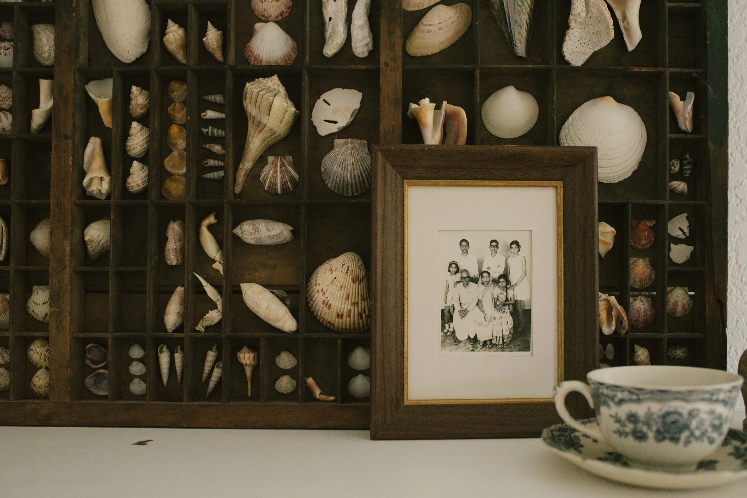 The Charpie Family by Mae Burke-17.JPG