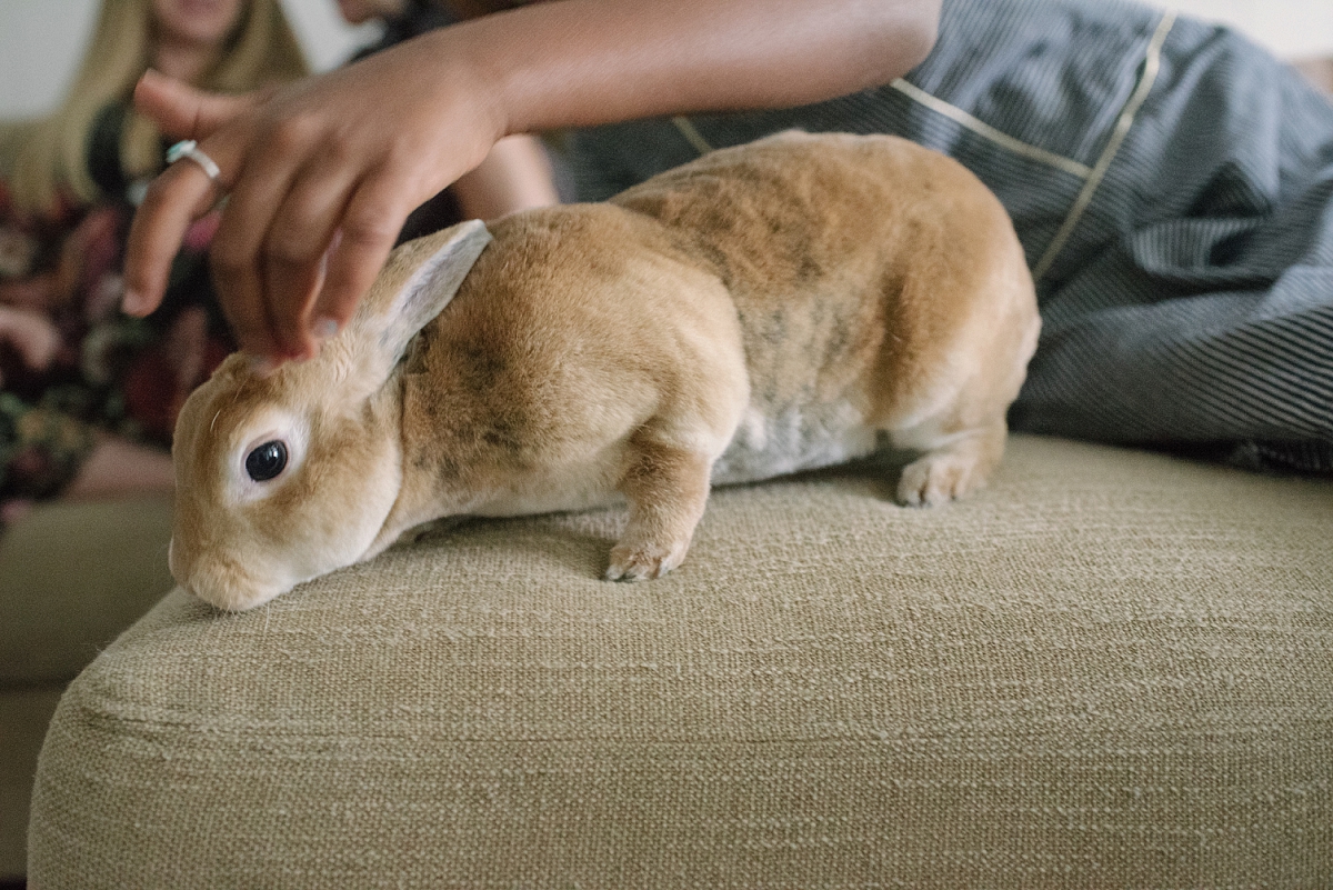 Kovak Family Maternity Session in San Antonio by Mae Burke-16.JPG