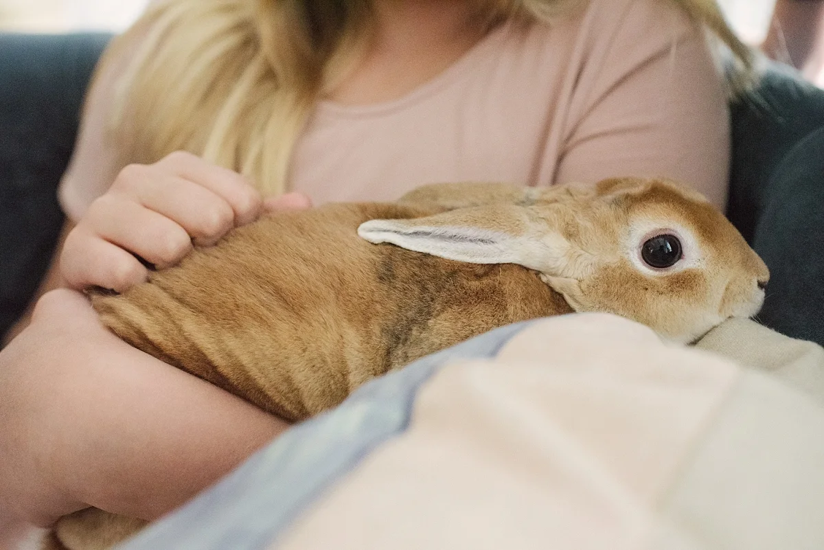 Kovak Family Maternity Session in San Antonio by Mae Burke-14.JPG