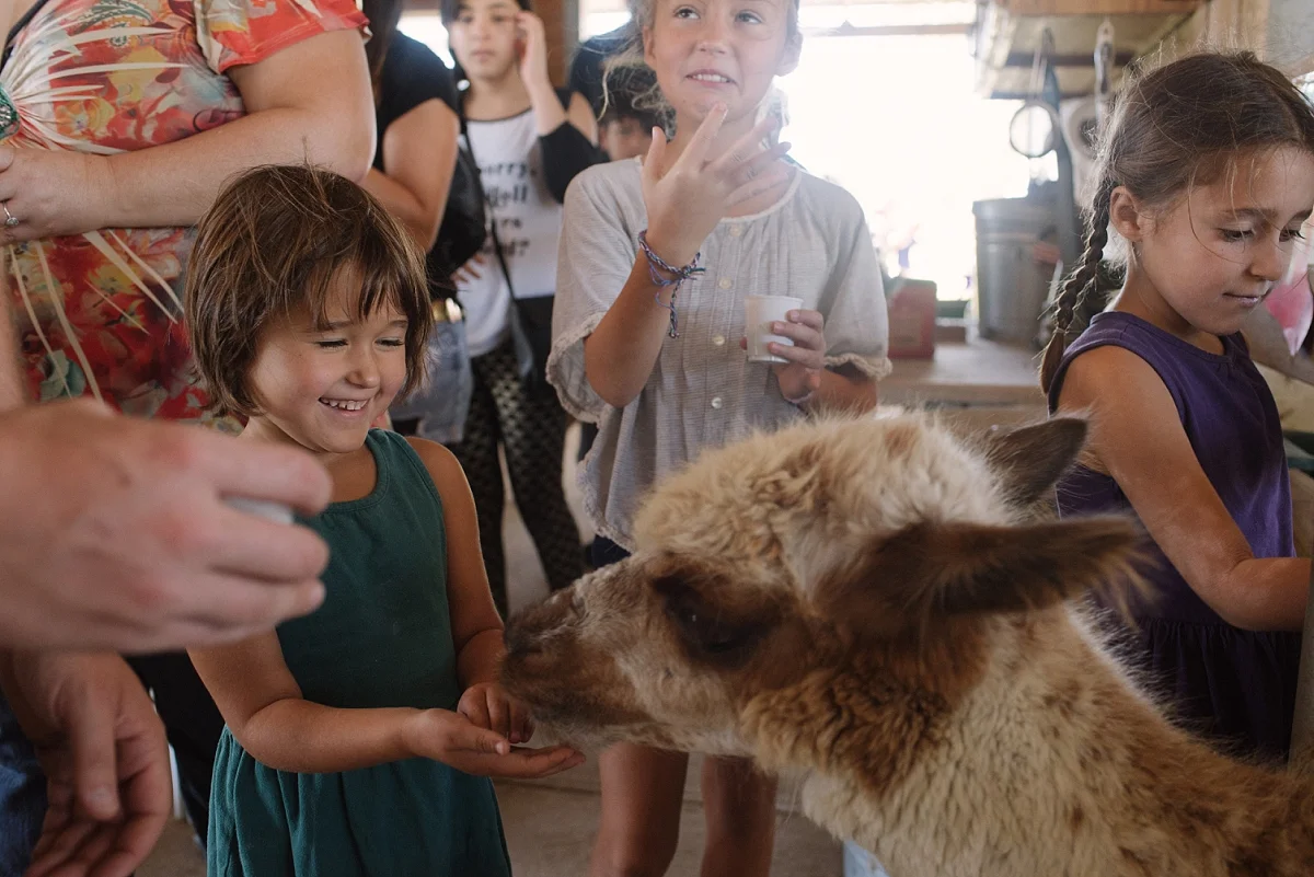 Mae Burke 365 2017-160.JPG