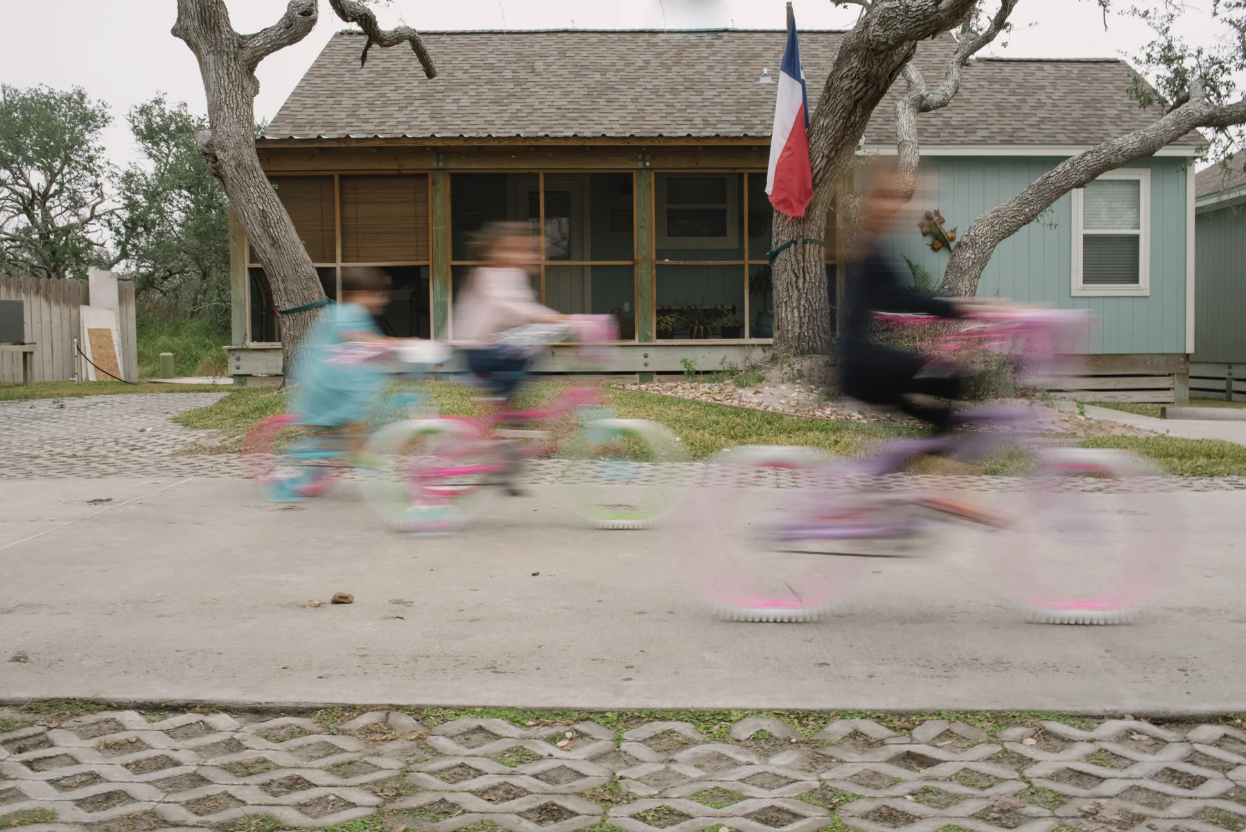 Mae Burke 365 2017-177.JPG